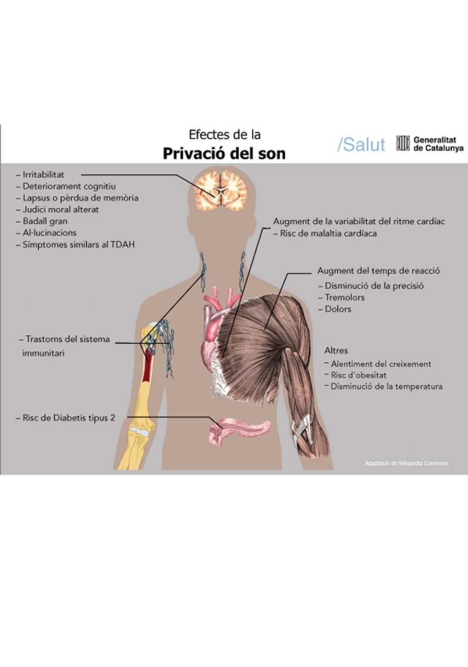 Diseño sin título - 5