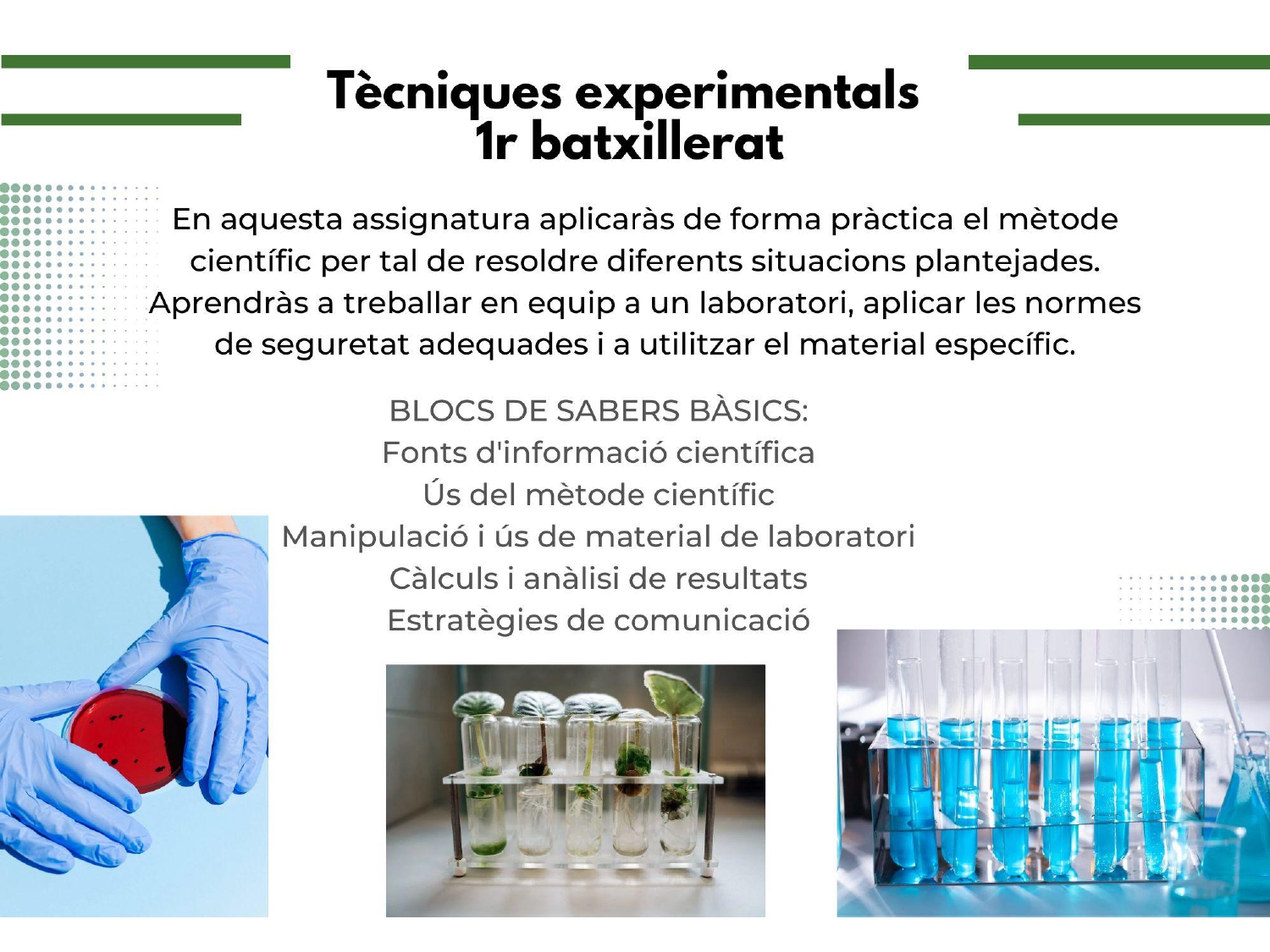 Matèries_B1_2026-2027_page-0006