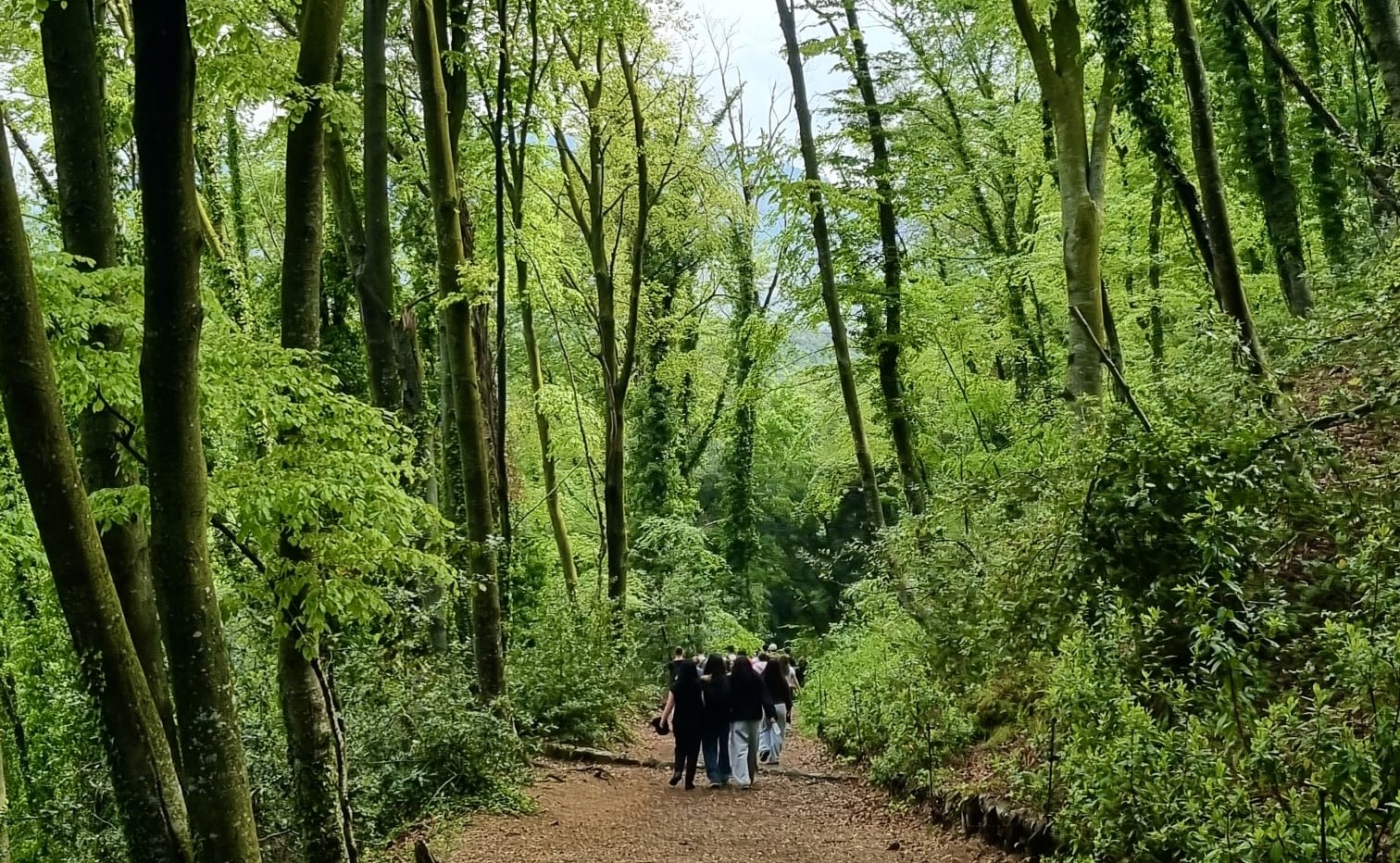 viatge 4t eso (8) bis