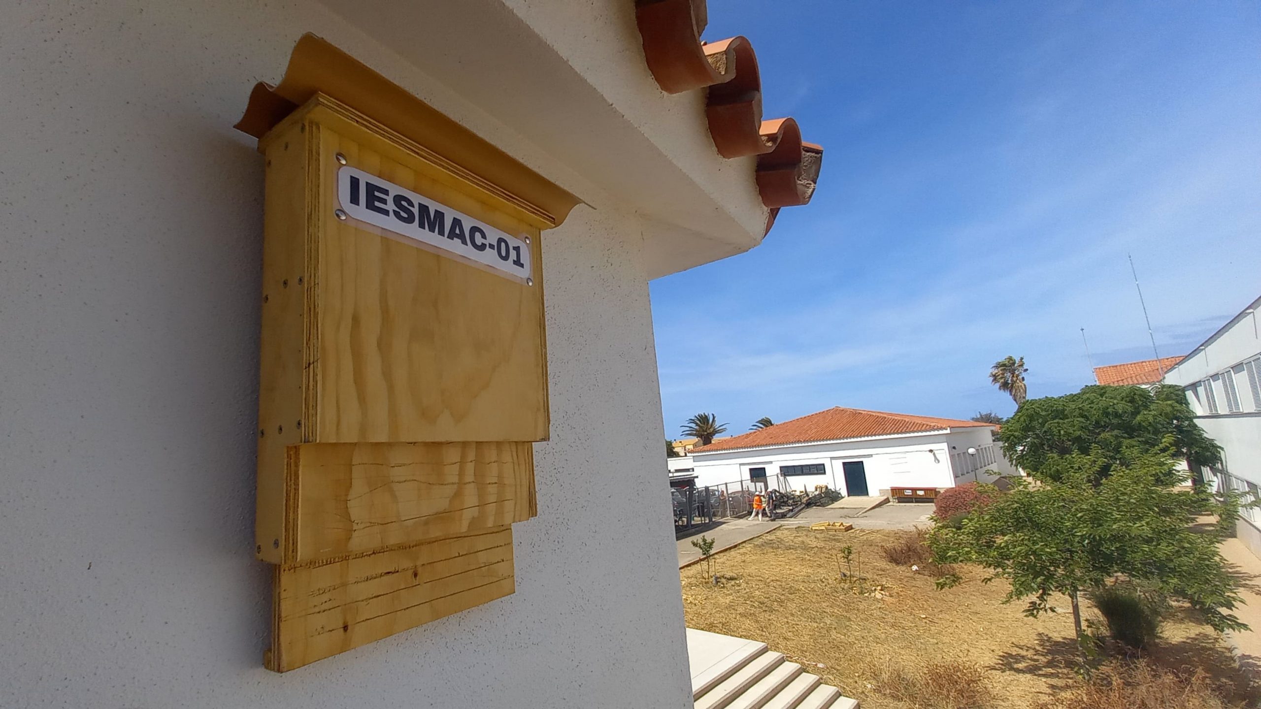 ratpanats 10