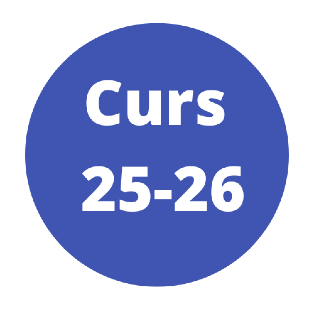 curs 25-26