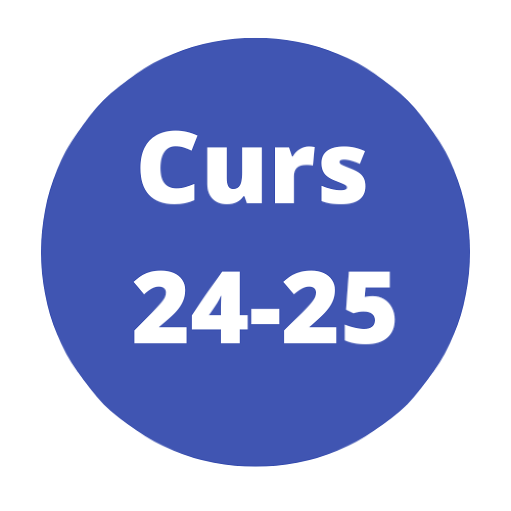 curs 24-25