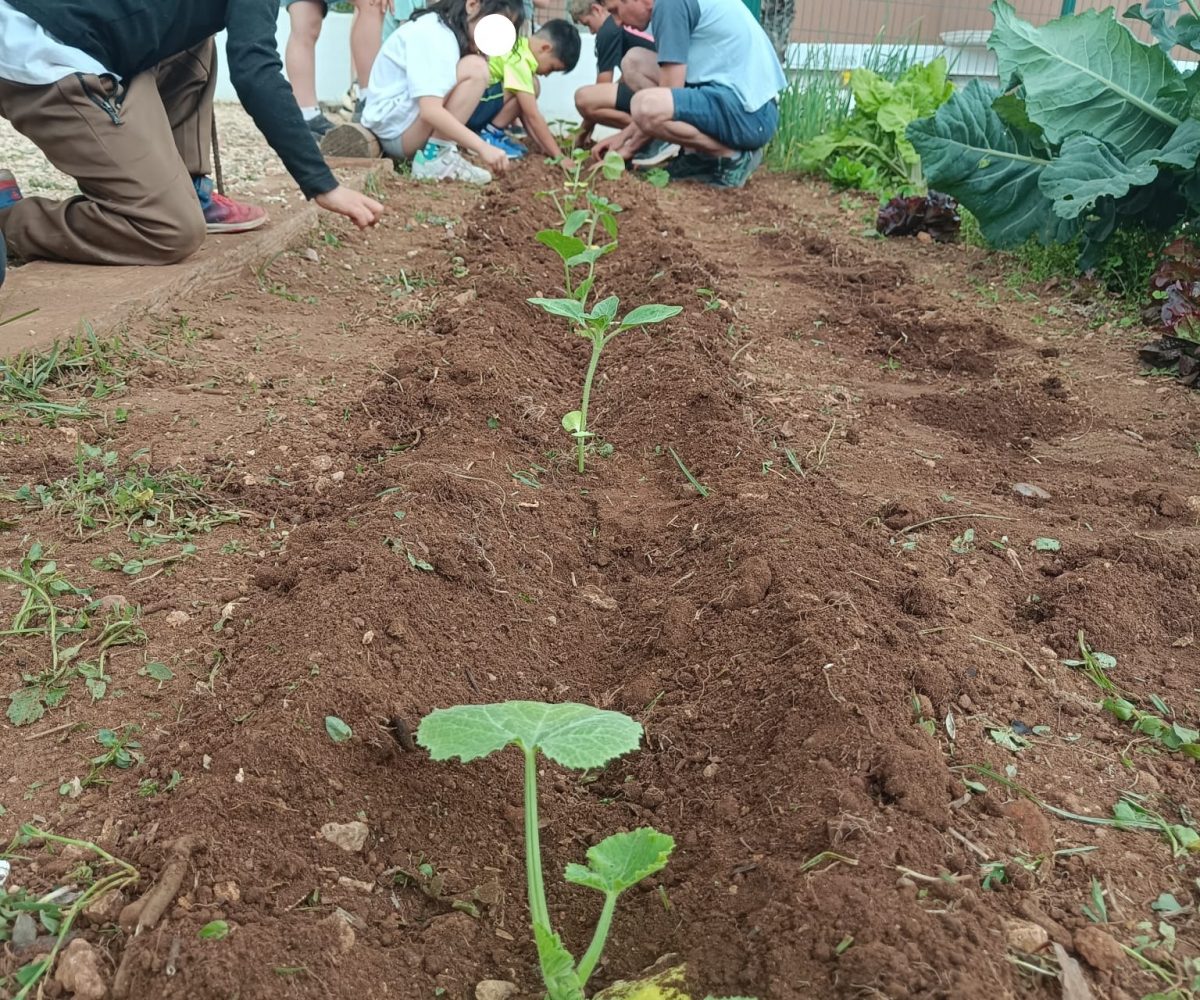 Hort MAC segueix creat xarxa (10)