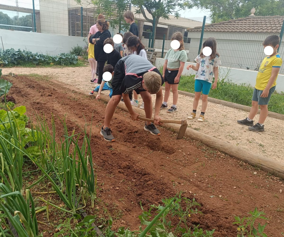 Hort MAC segueix creat xarxa (11)