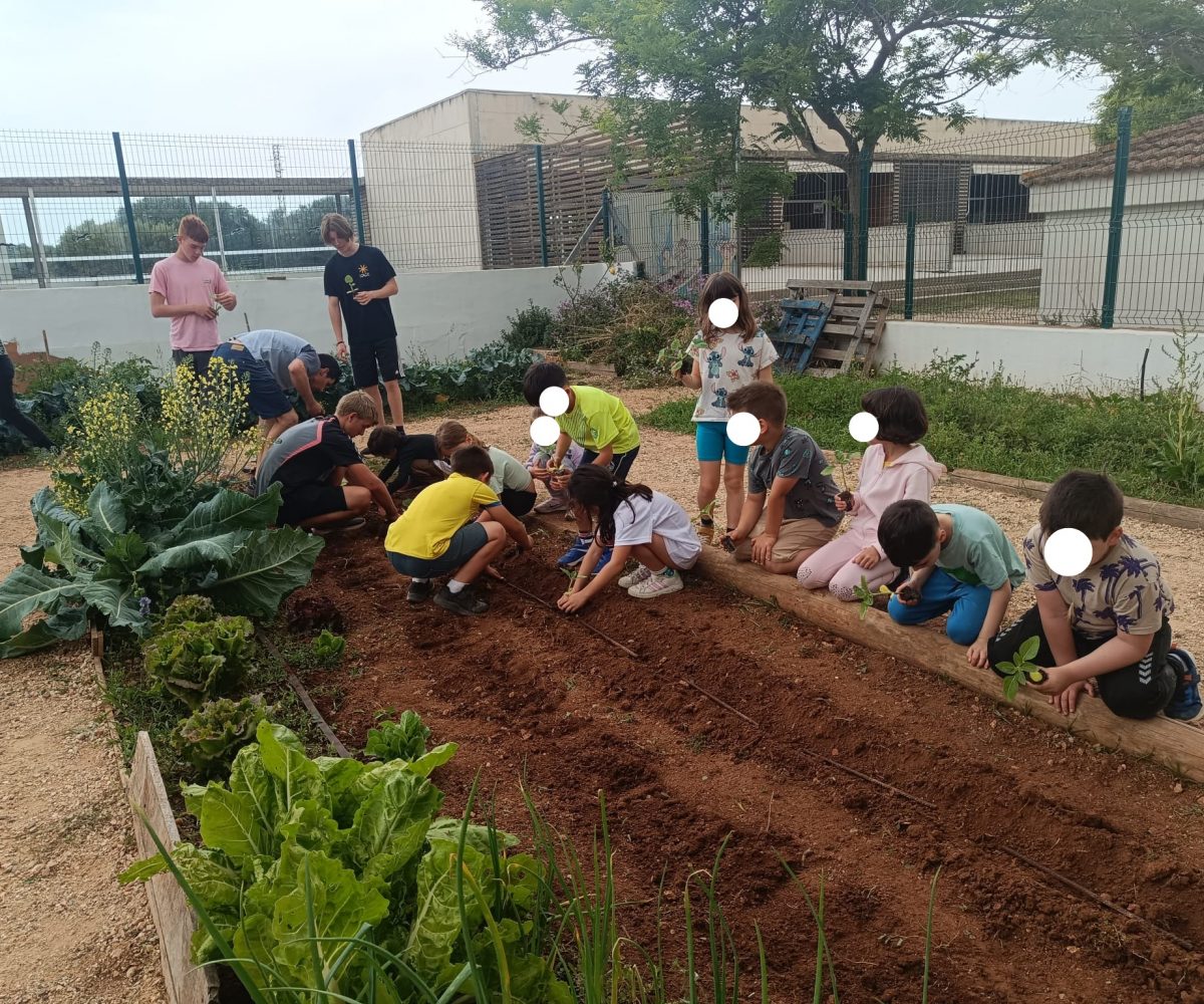 Hort MAC segueix creat xarxa (12)