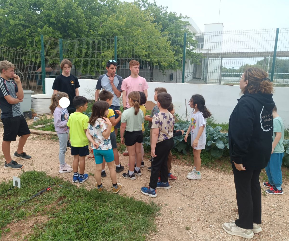 Hort MAC segueix creat xarxa (13)