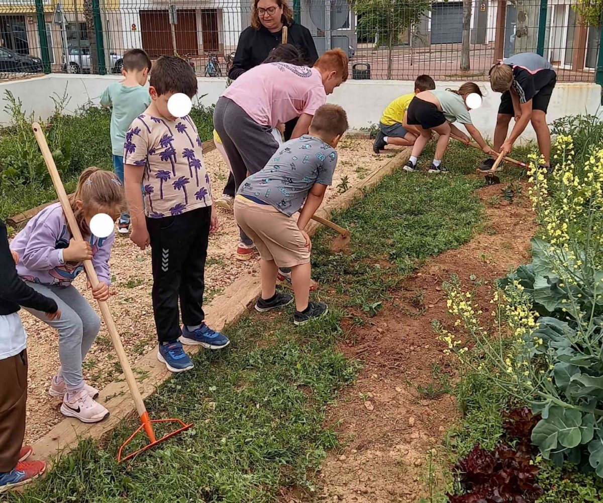 Hort MAC segueix creat xarxa (2)