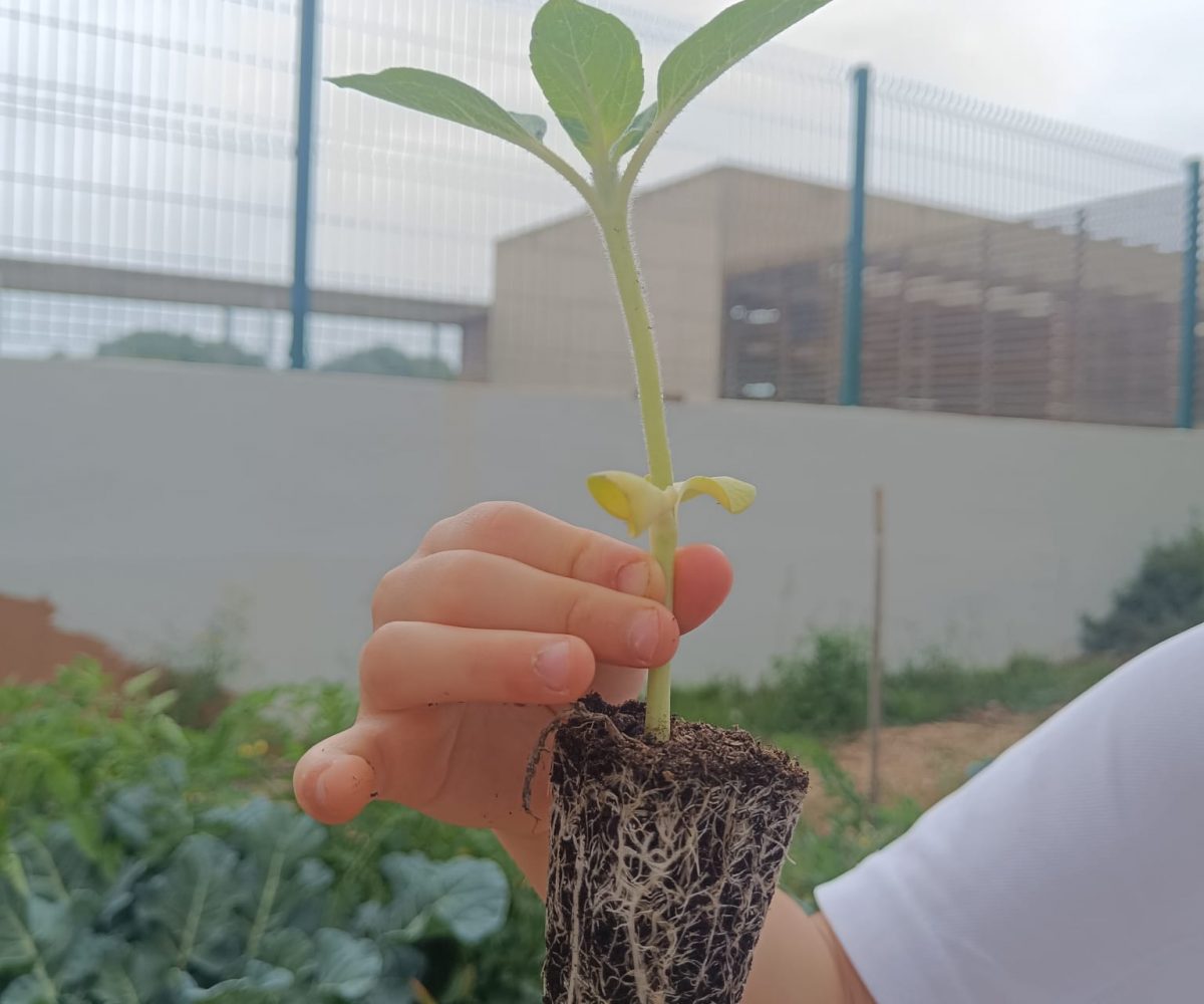 Hort MAC segueix creat xarxa (3)