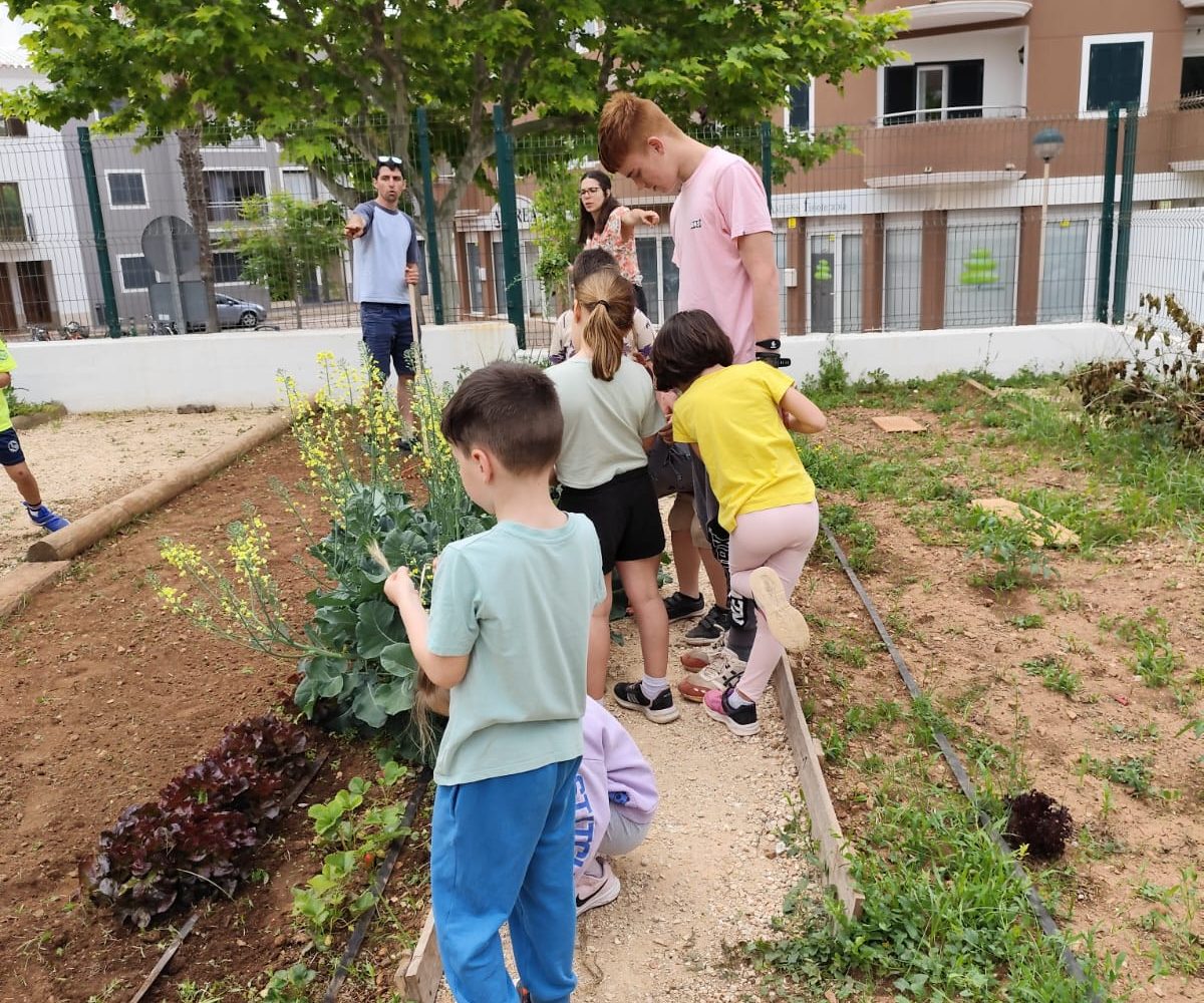 Hort MAC segueix creat xarxa (8)