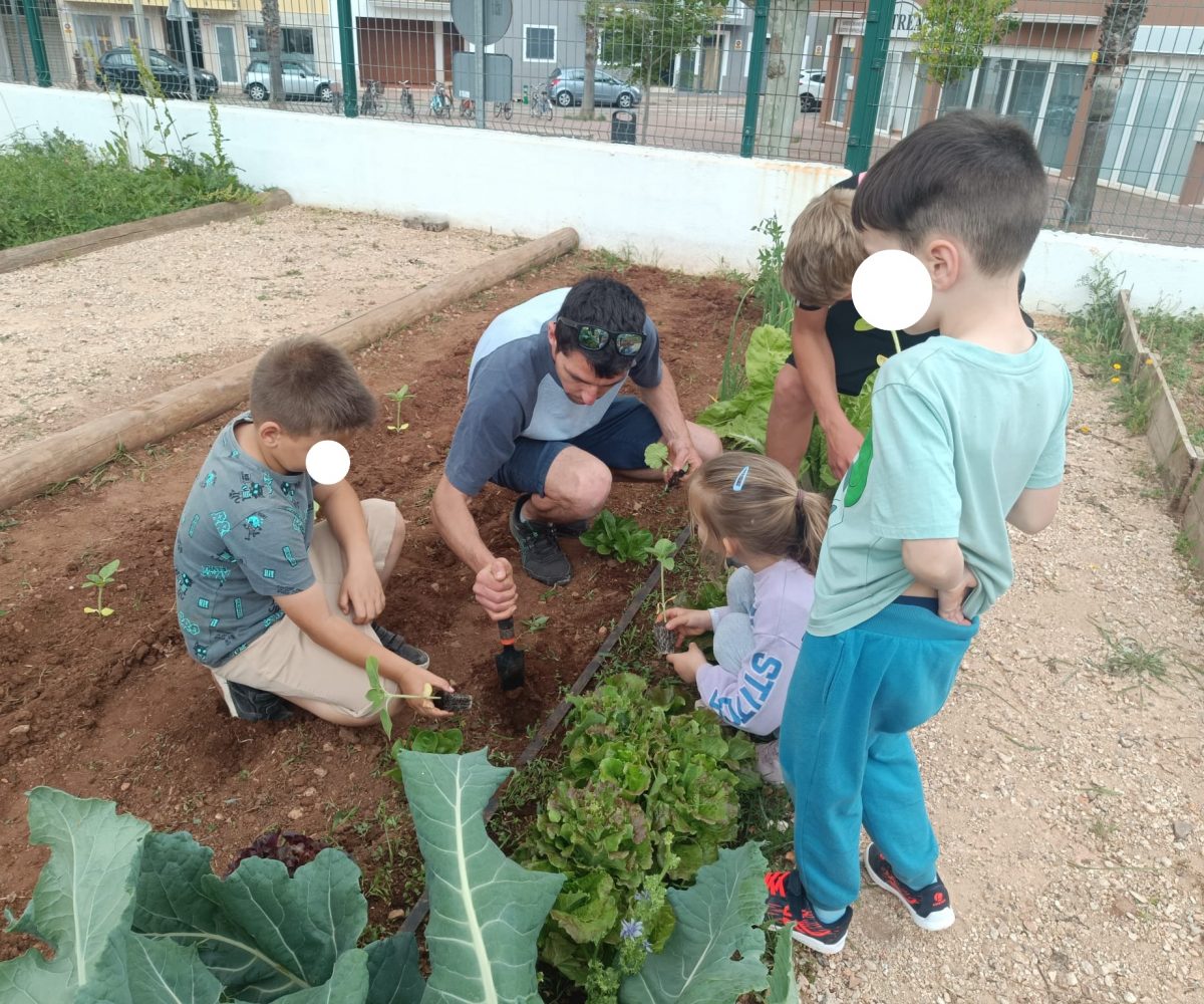 Hort MAC segueix creat xarxa (9)