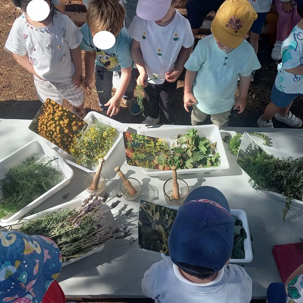 Hort MAC taller pels petits (1)