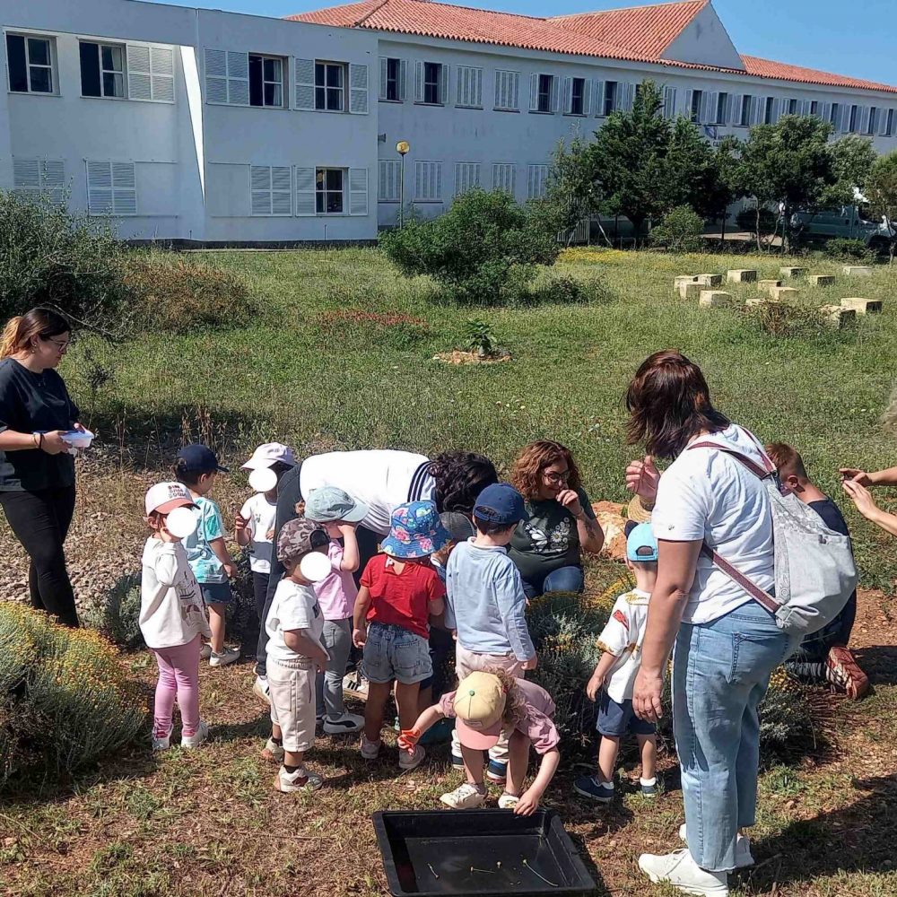 Hort MAC taller pels petits (3)