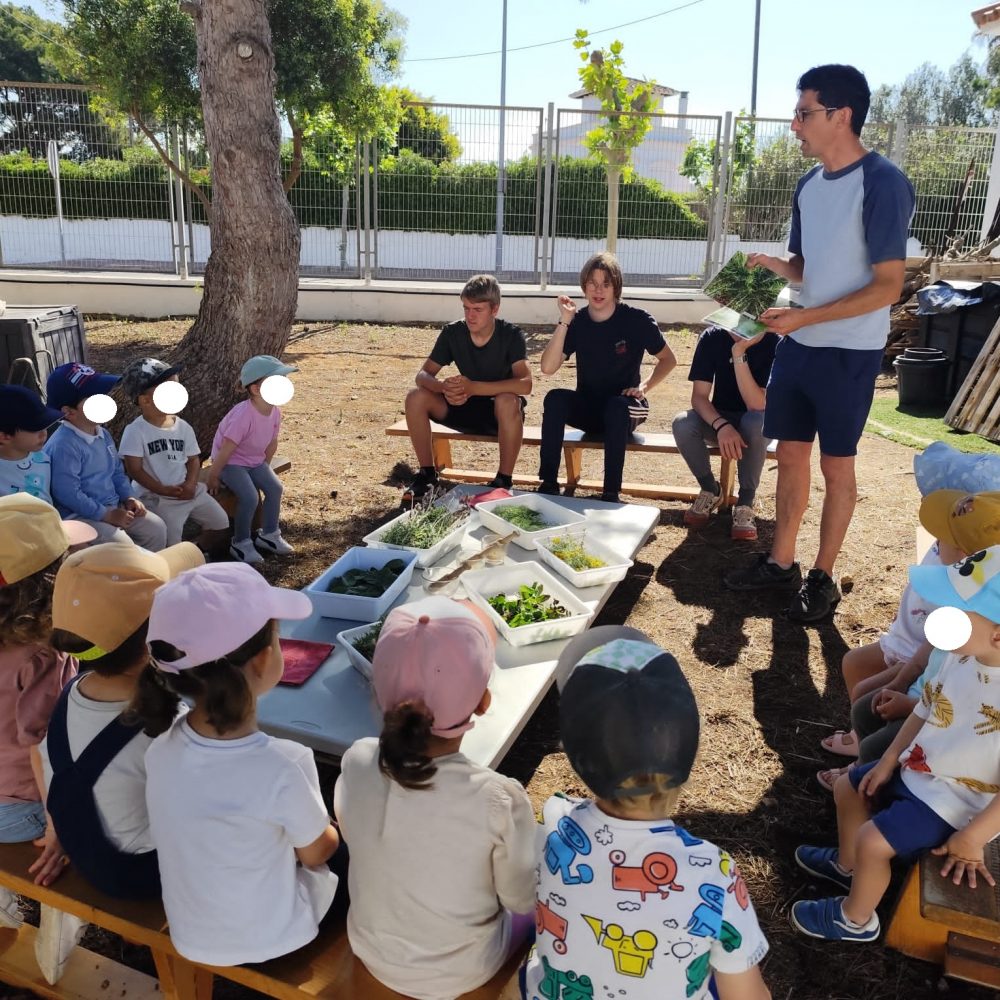 Hort MAC taller pels petits (7)