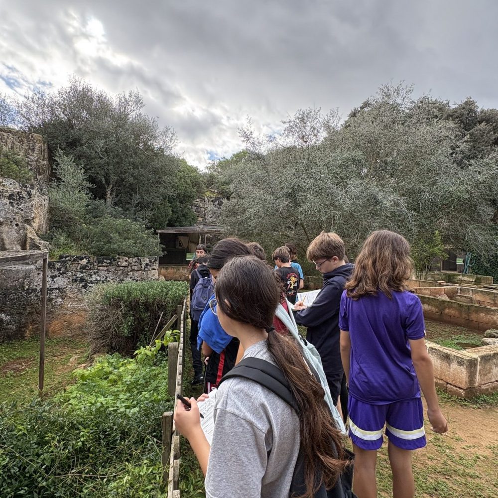 centre recuperació animal