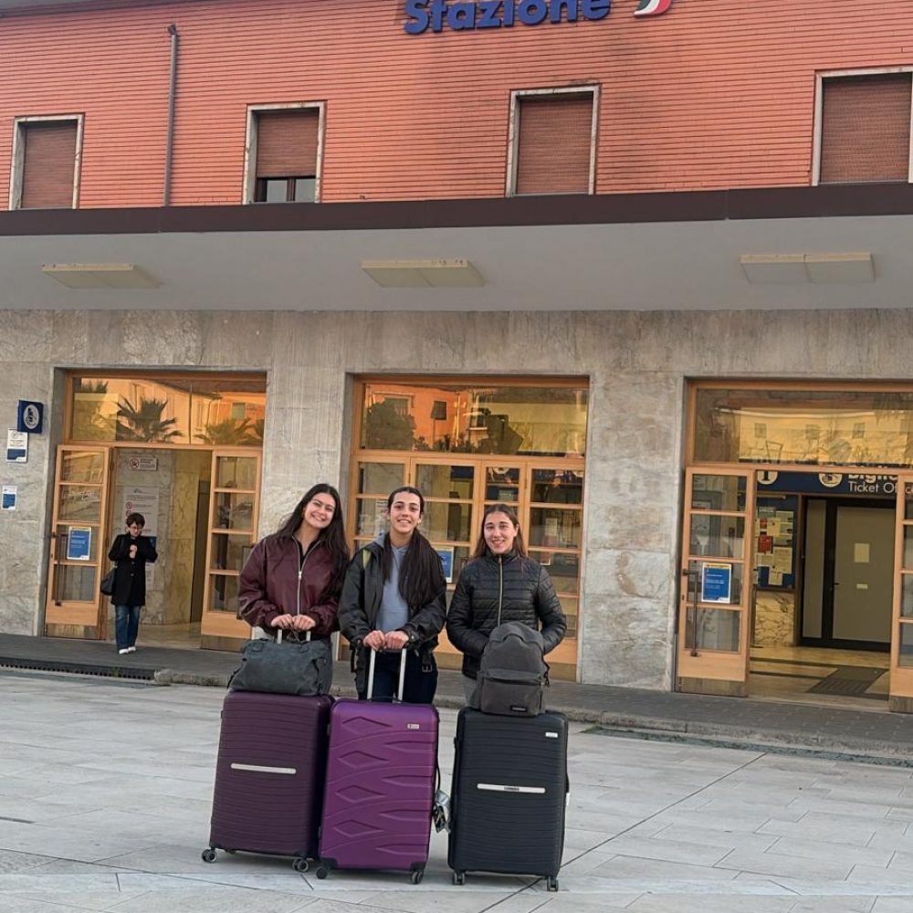 WhatsApp Image 2026-03-15 at 18.06.35